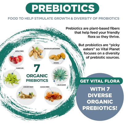 Vital Planet - Vital Flora Ultra Daily Probiotic 60 Billion CFU, Diverse Strains, Organic Prebiotics, Immune Support, Bloating Relief, Digestive Health Probiotics for Women and Men 60 Capsules - Maple Wellness Supplements
