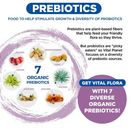 Vital Planet - Vital Flora Women’s Daily Probiotic 60 Billion CFU, 60 Diverse Strains, 7 Organic Prebiotics, Vaginal and Immune Support, Bloating, Digestive Health Probiotics for Women 30 Capsules - Maple Wellness Supplements