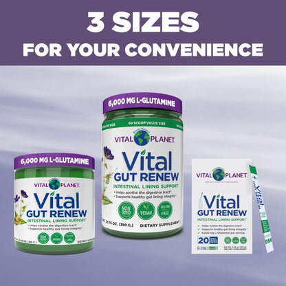 Vital Planet - Vital Gut Renew Powder Supplement for Leaky Gut Repair with L-Glutamine, Marshmallow and Ginger Root, DGL Licorice Root and Organic - Maple Wellness Supplements