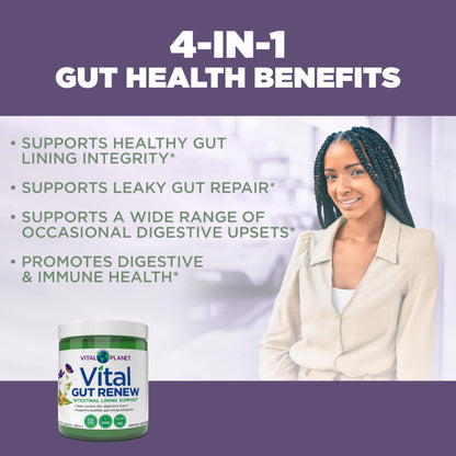 Vital Planet - Vital Gut Renew Powder Supplement for Leaky Gut Repair with L-Glutamine, Marshmallow and Ginger Root, DGL Licorice Root and Organic - Maple Wellness Supplements