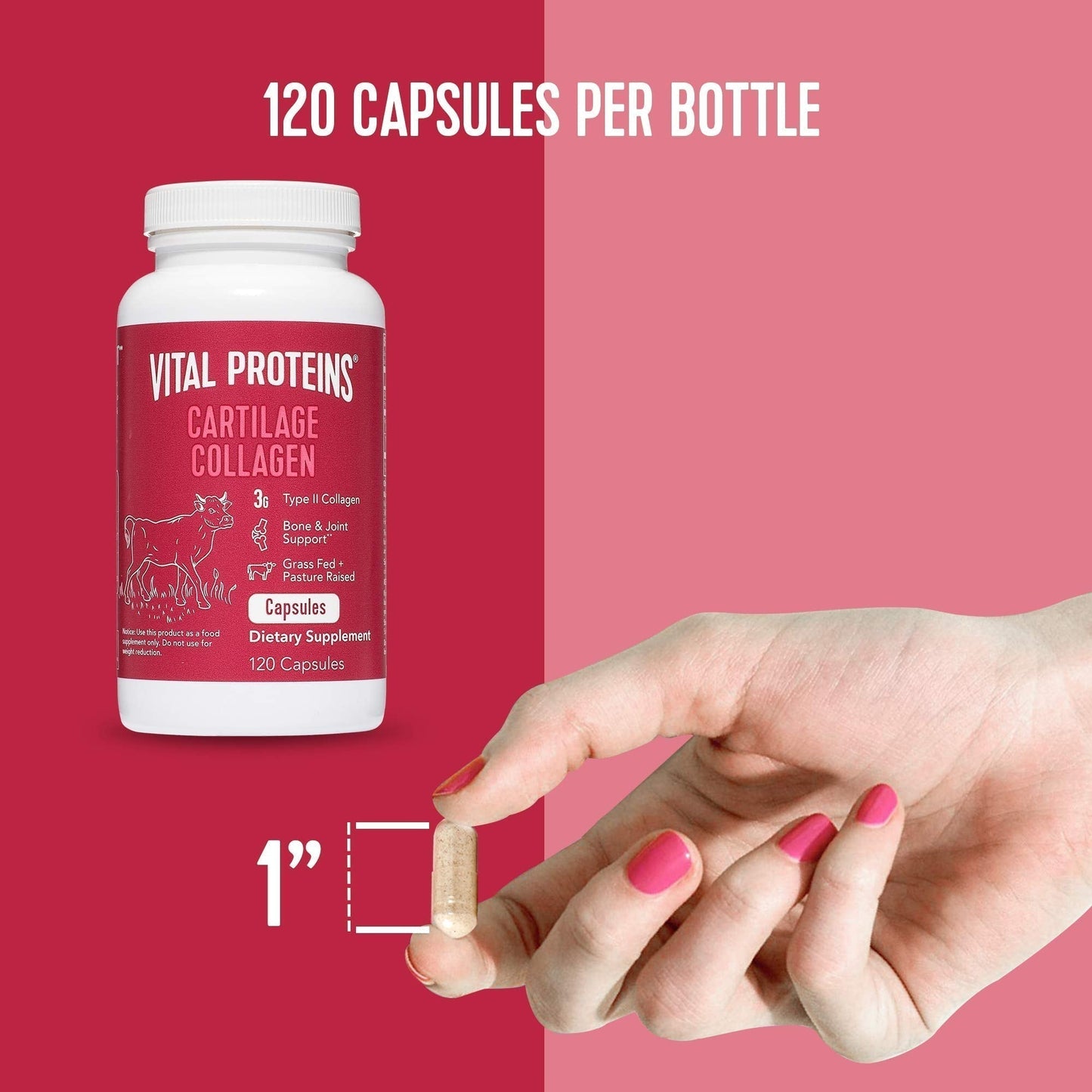 Vital Proteins Collagen Peptides Powder 19.3oz+ Collagen Pills, Type II - Maple Wellness Supplements