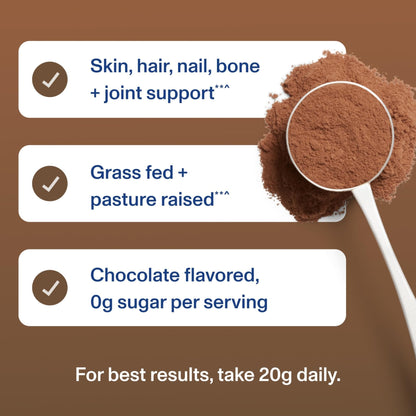 Vital Proteins Collagen Peptides Powder - Chocolate Powder for Hair, Nail, Skin, Bone & Joint Health, 13.5oz - Maple Wellness Supplements