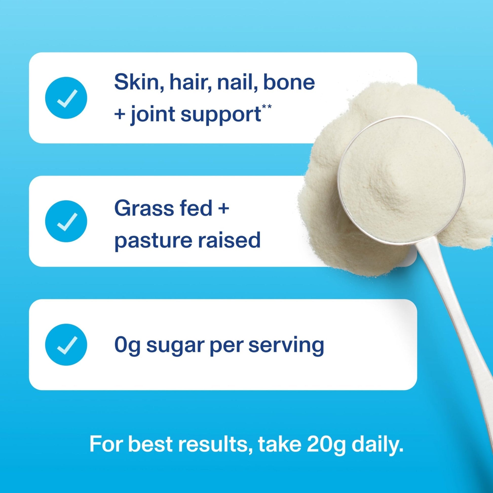 Vital Proteins Collagen Peptides Powder - Supports Hair, Nail, Skin, Bone & Joint Health, Unflavored, Collagen Protein 9.33 OZ - Maple Wellness Supplements
