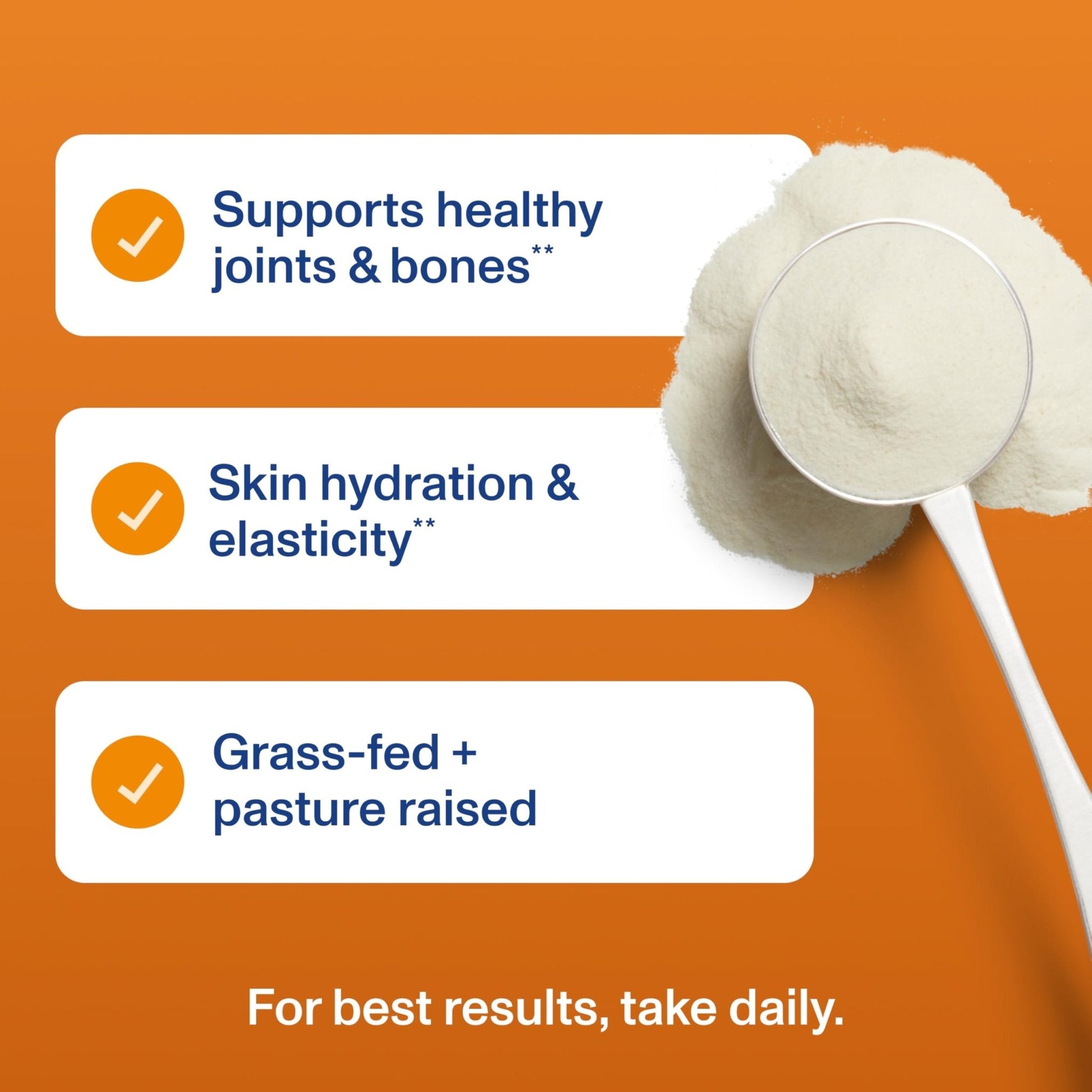 Vital Proteins® Pumpkin Spice Collagen Peptides, 20g Collagen Peptides, Healthy Hair, Skin, Nails & Joints - Maple Wellness Supplements