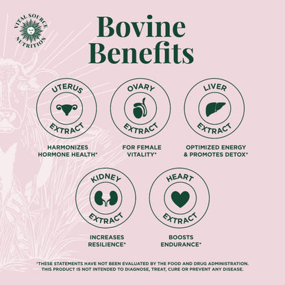 Vital Source Nutrition - BiFi Capsules - Premium Primal Organ Blend - Supports Hormone Health, Energy, Stamina & Clarity - Daily Vitality - Ancestral Supplements for Women - No Artificial Ingredients - Maple Wellness Supplements