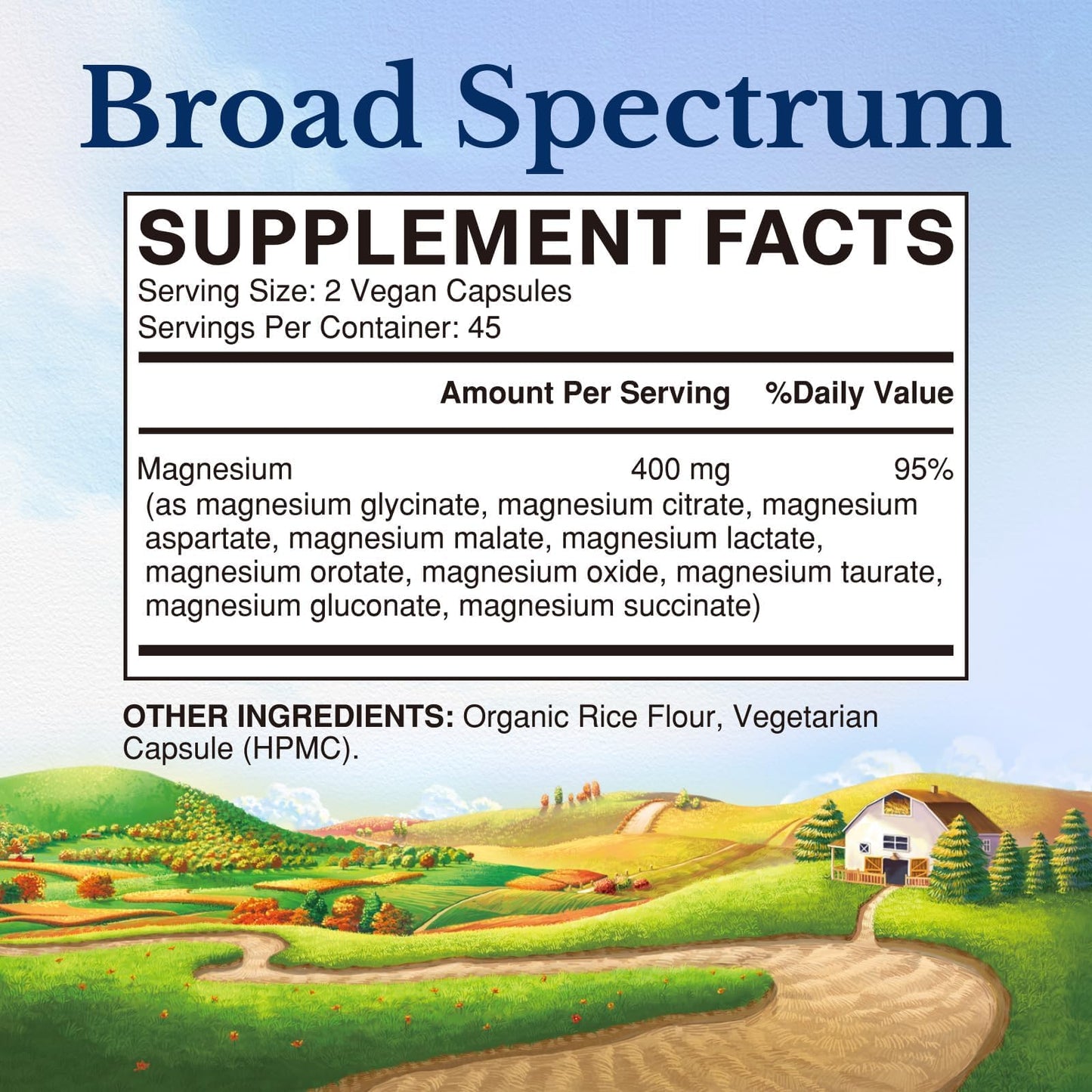 Vitalitown 10 in 1 Magnesium Complex Supplement - 400mg Elemental Magnesium Chelated with Glycinate, Citrate, Malate, Taurate & More - for Sleep Heart Energy - Non-GMO, Vegan, 90 Caps - Maple Wellness Supplements