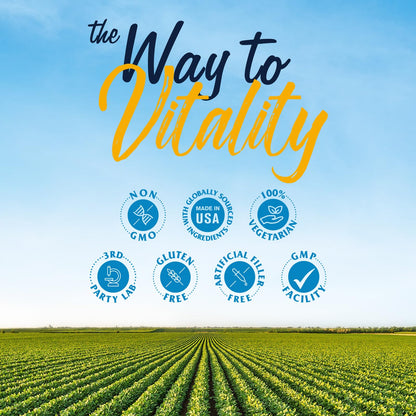 Vitalitown Inositol Supplement for Women, Myo-Inositol & D-Chiro Inositol, Ideal 40:1 Ratio, Hormone Balance & Healthy Ovarian Support for Women, Vitamin B8, Vegan, 60 Capsules, No Gluten - Maple Wellness Supplements