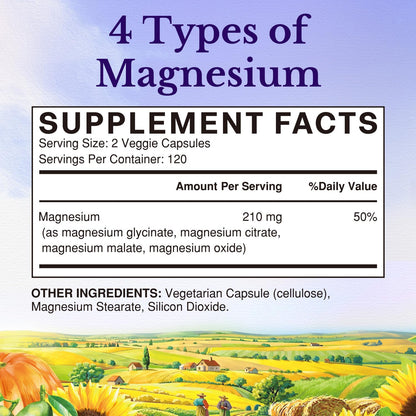 Vitalitown Magnesium Complex | Chelated Easily Absorbed Magnesium Glycinate Citrate Malate | Buffered | 210mg Elemental Mag | Sleep, Nerve, Digestion, Energy | Non-GMO 240 Veg Caps - Maple Wellness Supplements