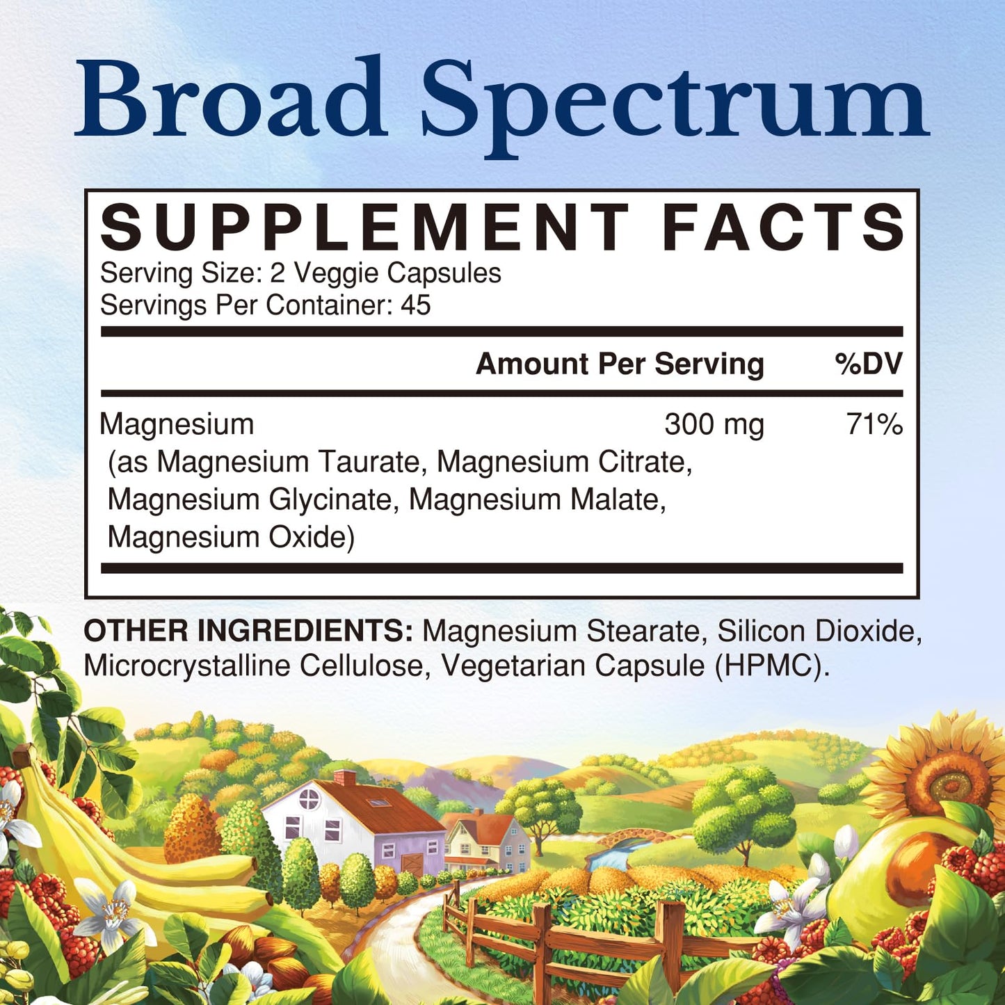 Vitalitown Magnesium Complex Supplement | 300mg Elemental Mag | Magnesium Citrate Glycinate Taurate Malate | Non-GMO, No Gluten, 90 Vegan Magnesio Capsules for Bone Brain Heart - Maple Wellness Supplements