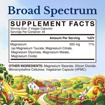 Vitalitown Magnesium Complex Supplement | 300mg Elemental Mag | Magnesium Citrate Glycinate Taurate Malate | Non-GMO, No Gluten, 90 Vegan Magnesio Capsules for Bone Brain Heart - Maple Wellness Supplements