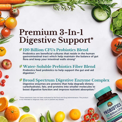VITALITOWN Probiotics 120 Billion CFUs | 36 Strains, with Prebiotics & Digestive Enzymes for Men Women | Shelf Stable | Digestive Health & Immune Support - Maple Wellness Supplements