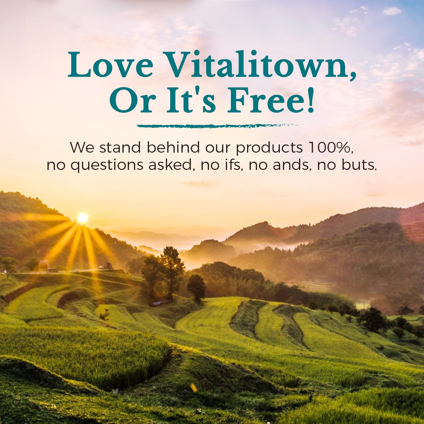 VITALITOWN Probiotics 120 Billion CFUs | 36 Strains, with Prebiotics & Digestive Enzymes for Men Women | Shelf Stable | Digestive Health & Immune Support - Maple Wellness Supplements