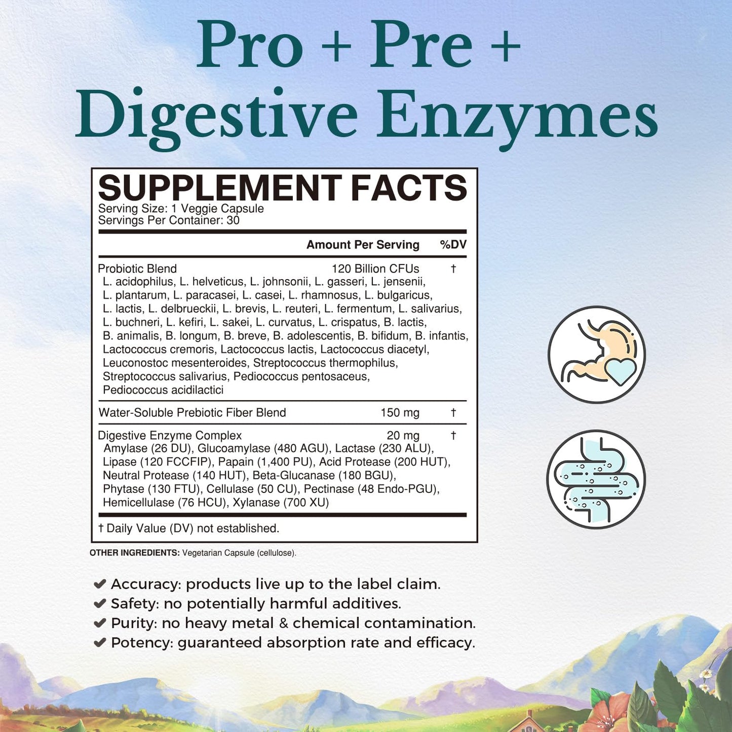 VITALITOWN Probiotics 120 Billion CFUs | 36 Strains, with Prebiotics & Digestive Enzymes for Men Women | Shelf Stable | Digestive Health & Immune Support - Maple Wellness Supplements