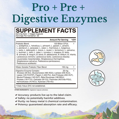 VITALITOWN Probiotics 120 Billion CFUs | 36 Strains, with Prebiotics & Digestive Enzymes for Men Women | Shelf Stable | Digestive Health & Immune Support - Maple Wellness Supplements