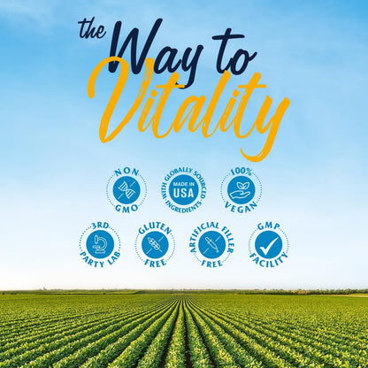 Vitalitown Probiotics + Prebiotics | 60 Billion CFUs 19 Strains | 60 Delayed Release Veg Caps | Shelf Stable, Prebiotics and Probiotics | Digestive Health - Maple Wellness Supplements