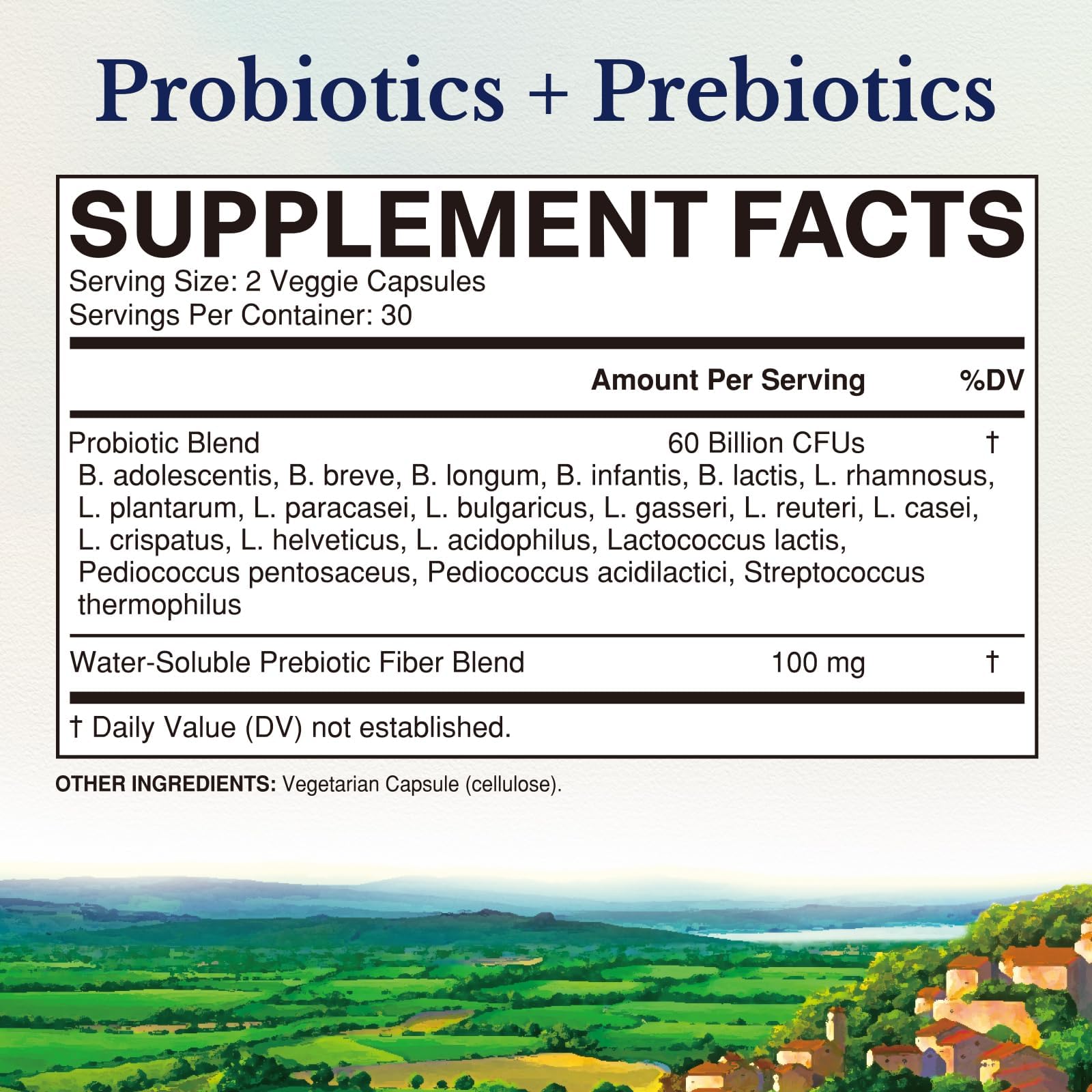 Vitalitown Probiotics + Prebiotics | 60 Billion CFUs 19 Strains | 60 Delayed Release Veg Caps | Shelf Stable, Prebiotics and Probiotics | Digestive Health - Maple Wellness Supplements