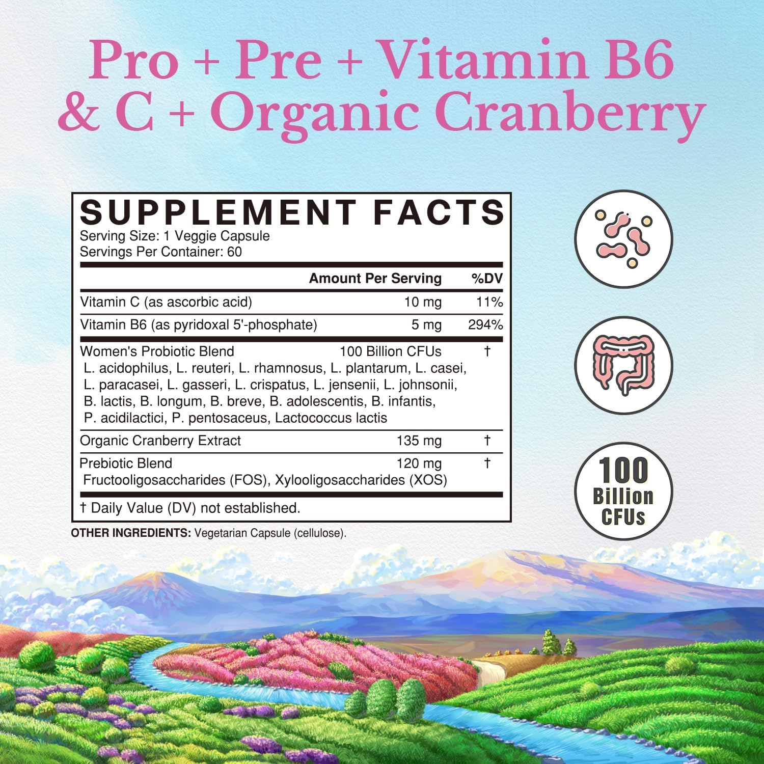 Vitalitown Women's Probiotics | 100 Billion CFUs 18 Strains | Prebiotics, VC & B6, Cranberry | Shelf Stable | Vaginal, Urinary - Maple Wellness Supplements