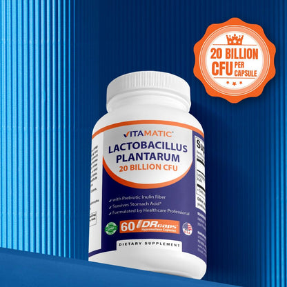 Vitamatic Lactobacillus Plantarum - 20 Billion per DR Capsule - 60 Count - Digestive Support - Made with Prebiotic Inulin Fiber - Maple Wellness Supplements