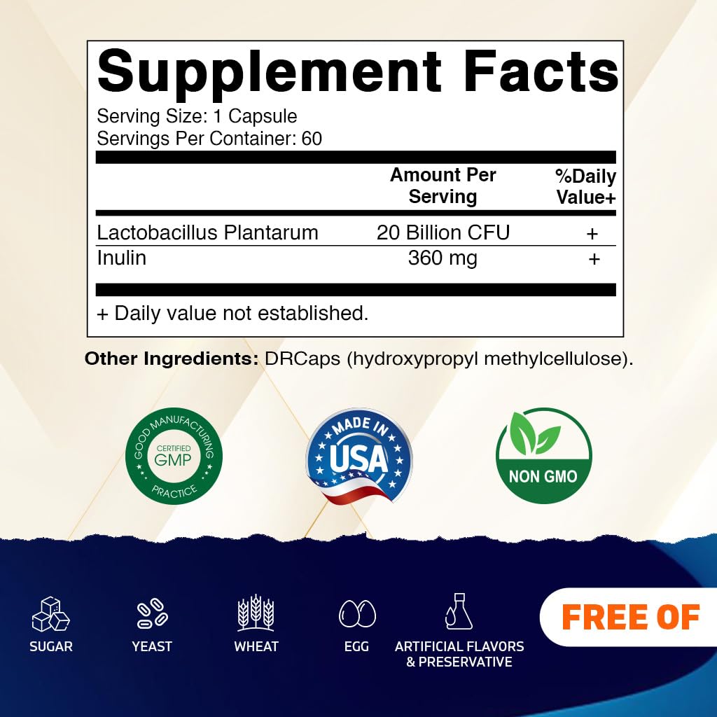 Vitamatic Lactobacillus Plantarum - 20 Billion per DR Capsule - 60 Count - Digestive Support - Made with Prebiotic Inulin Fiber - Maple Wellness Supplements