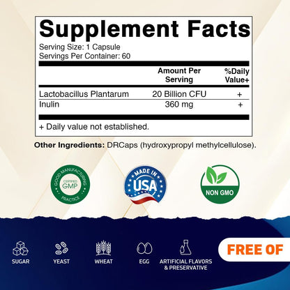 Vitamatic Lactobacillus Plantarum - 20 Billion per DR Capsule - 60 Count - Digestive Support - Made with Prebiotic Inulin Fiber - Maple Wellness Supplements