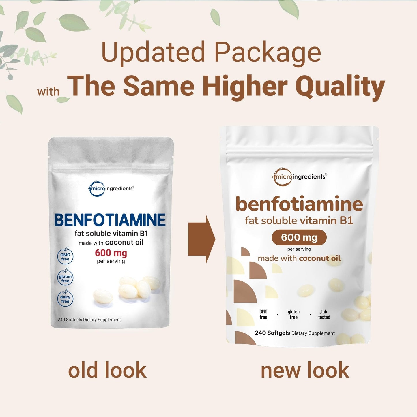 Vitamin B1 Benfotiamine 600mg Per Serving, 240 Coconut Oil Softgels | Bioavailable B Vitamins Supplement, Converted to Active Thiamine | Non-GMO, Soy Free - Maple Wellness Supplements