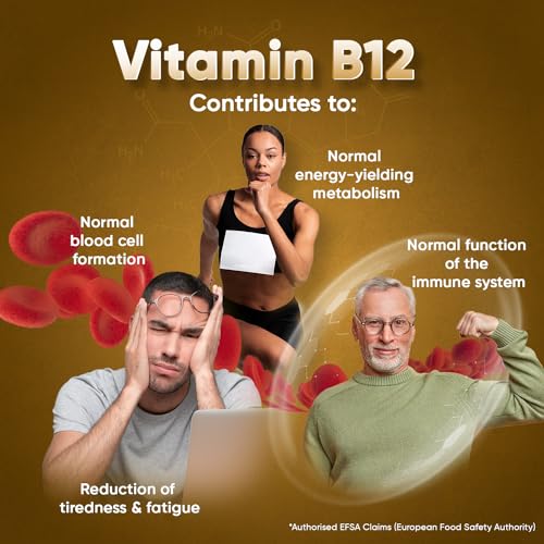 Vitamin B12 Tablets High Strength – 1000mcg Vegan B12 Supplement – 450 Pure Methylcob - Maple Wellness Supplements