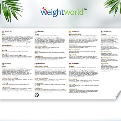 Vitamin B12 Tablets High Strength – 1000mcg Vegan B12 Supplement – 450 Pure Methylcob - Maple Wellness Supplements