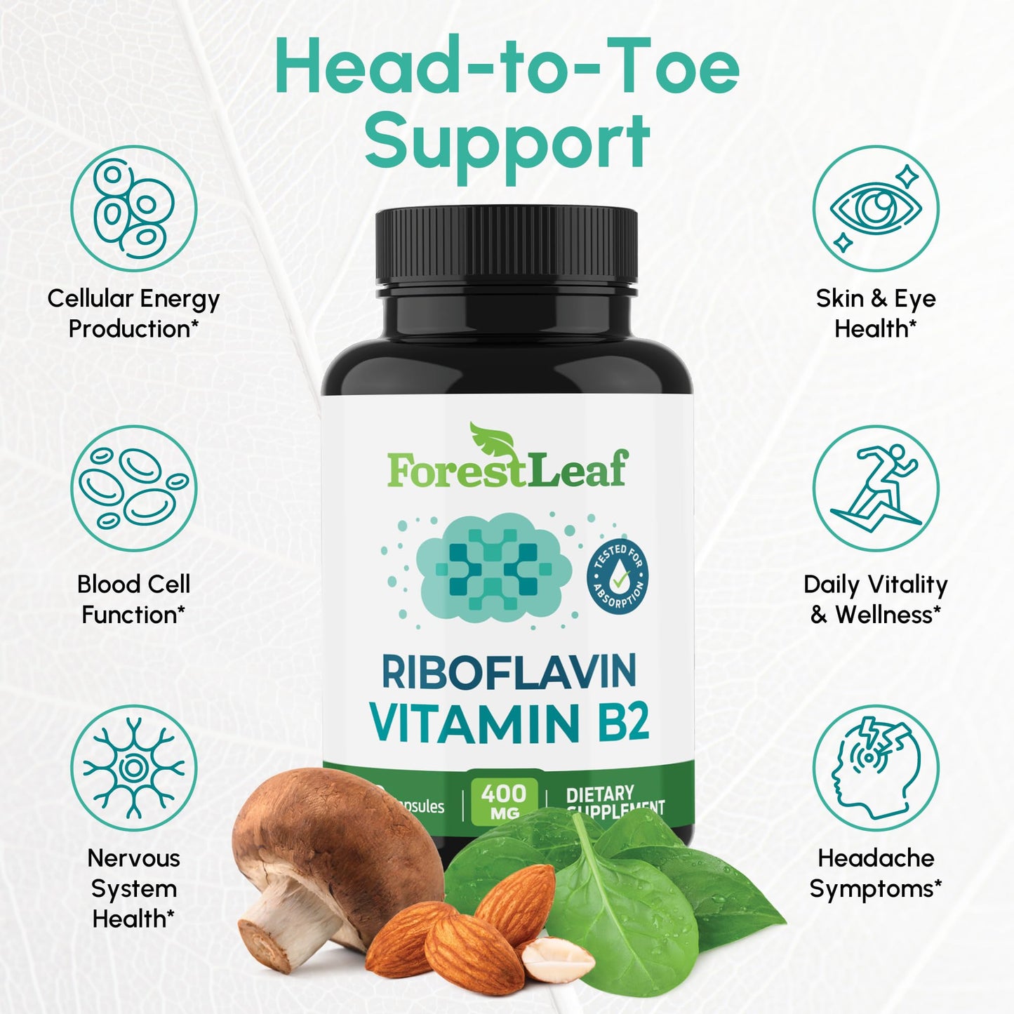 Vitamin B2 Riboflavin 400mg - Energy, Skin & Cellular Health Supplement - Nervous System Support - Vitamin B 2 Vit B - Non-GMO & Gluten Free - B2 Vitamin 400mg - Maple Wellness Supplements