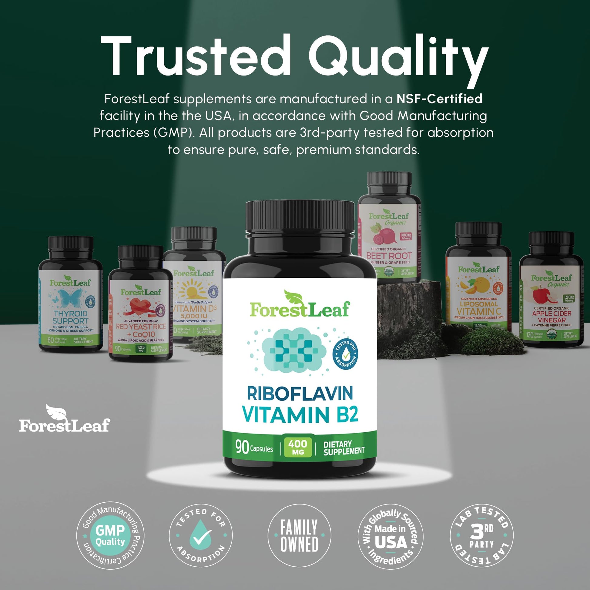 Vitamin B2 Riboflavin 400mg - Energy, Skin & Cellular Health Supplement - Nervous System Support - Vitamin B 2 Vit B - Non-GMO & Gluten Free - B2 Vitamin 400mg - Maple Wellness Supplements