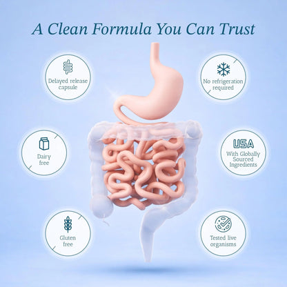 Vitamin Bounty Pro-50 Probiotics 50 Billion CFU for Women & Men - 13 Multi Strain Probiotic + Prebiotic - Digestive Health Supplements for Gut Health Support - Delayed Release Capsules for Men & Women - Maple Wellness Supplements