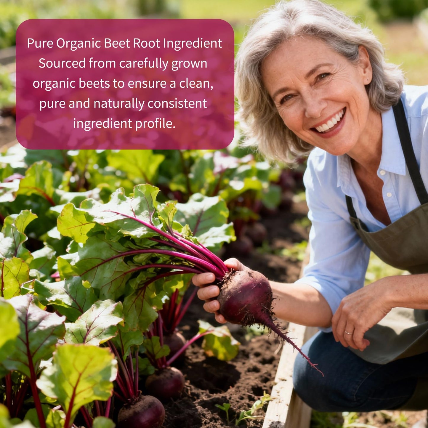 Vitarevive Organic Beet Root Capsules with Beetroot Extract 17850mg 21:1 Concentrated Beetroot Supplement Supports Circulation and Nitric Oxide - Maple Wellness Supplements