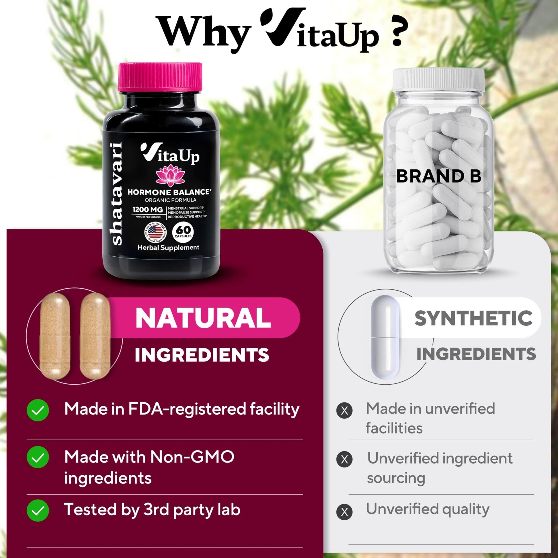 VitaUp Shatavari Capsules for Women 1200mg - USA Made Shatavari Root Supplement for Normal Hormonal Support, Menopause & Menstrual Wellness - 60 Vegan Capsules - Maple Wellness Supplements