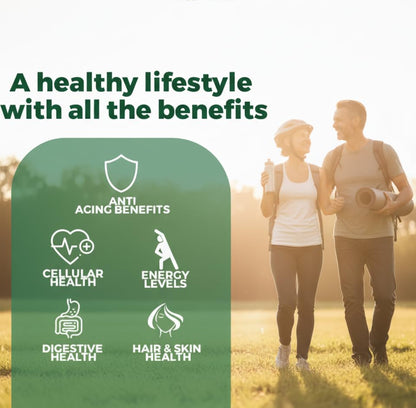 vitaxmin NAD Resveratrol Supplement 200mg with Berberine NAC Collagen - Nicotinamide Riboside NMN NADH CoQ10 Biotin Hyaluronic Acid - Hair Skin Nails Supplement - 60 Capsules - Maple Wellness Supplements