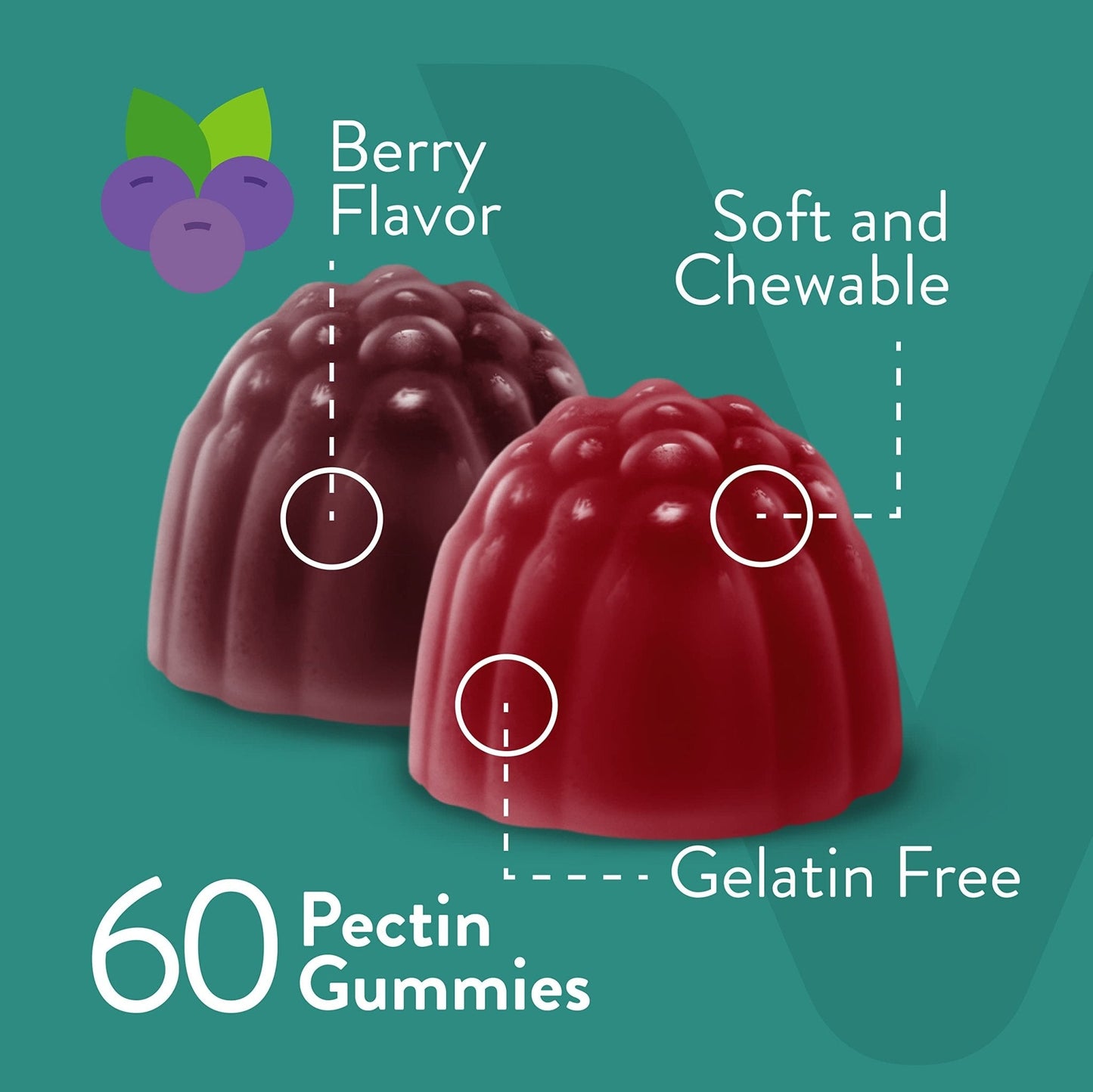 Viteey Probiotic Gummies with Prebiotics – Gut Health Supplements for Digestive Health – 2 Billion CFUs – Vegan, Gluten-Free – 60 Count - Maple Wellness Supplements
