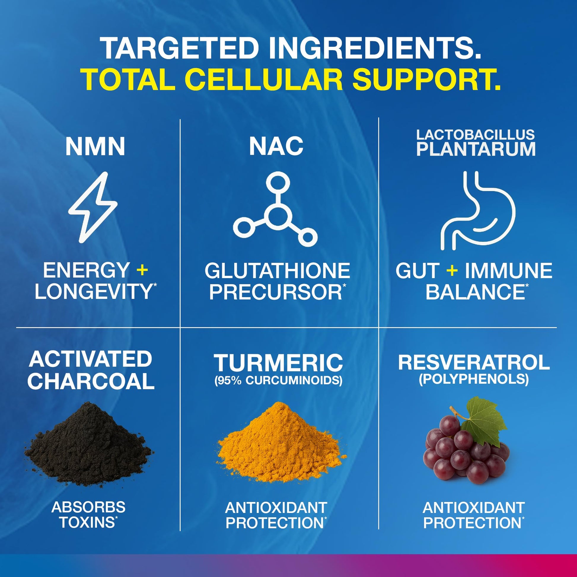 Vitology MP-PRO Microplastics Defense | 15 Billion CFU Probiotic + Antioxidant Blend | NMN, NAC, Glutathione, Resveratrol & Charcoal | Supports Cellular Detox, Longevity & Gut Health – 60 Capsules - Maple Wellness Supplements