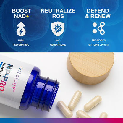 Vitology MP-PRO Microplastics Defense | 15 Billion CFU Probiotic + Antioxidant Blend | NMN, NAC, Glutathione, Resveratrol & Charcoal | Supports Cellular Detox, Longevity & Gut Health – 60 Capsules - Maple Wellness Supplements