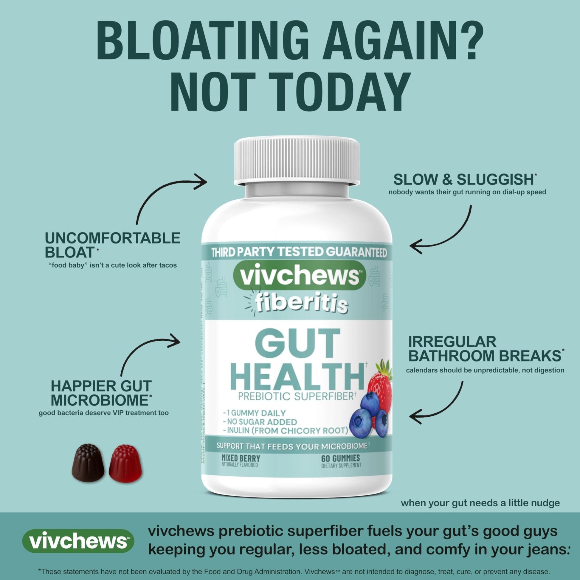 vivchews Gut Health Gummies – Prebiotic Fiber for Bloating Relief, No Sugar Added, Non-GMO, Fruit Pectin Based, Gluten-Free, No Artificial Colors, - Maple Wellness Supplements