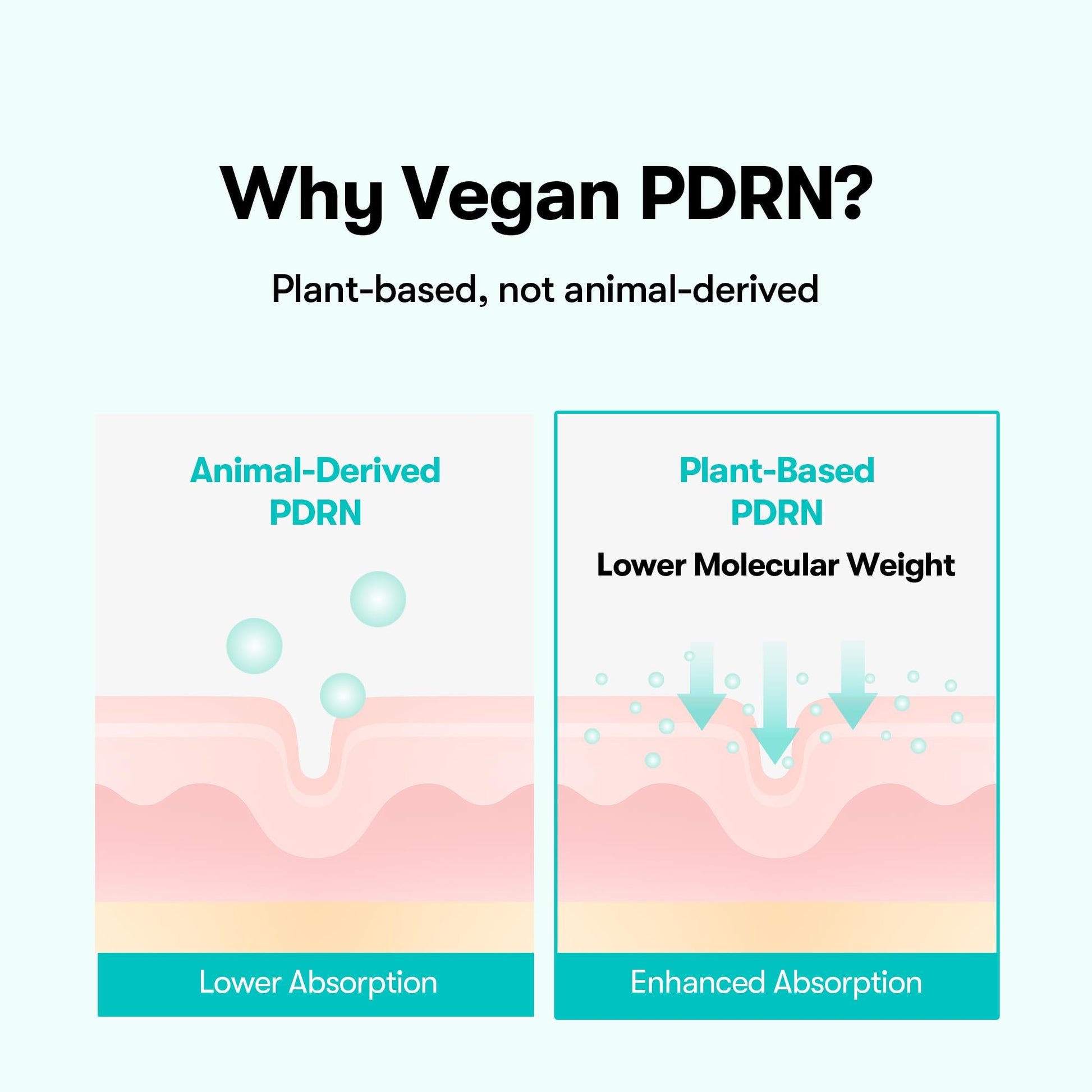 VT COSMETICS PDRN Glow Ampoule, PDRN Facial Mist, Deep Hydration Spray Serum, Vegan Skin Care, Light-weight Face Moisturizer, Plumping Effect, Fragrance-Free, Korean SkinCare (3.38 fl oz / 100 ml) - Maple Wellness Supplements