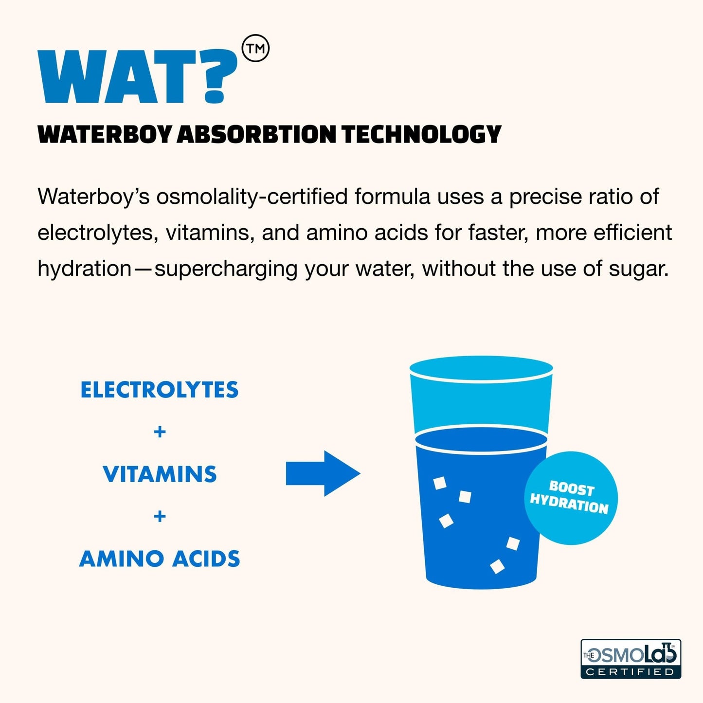 Waterboy Workout Hydration | 2,960mg Sugar Free Electrolyte Powder Packets | L-Glutamine + Vitamins | No Sugar, All Natural, Gluten Free - Maple Wellness Supplements