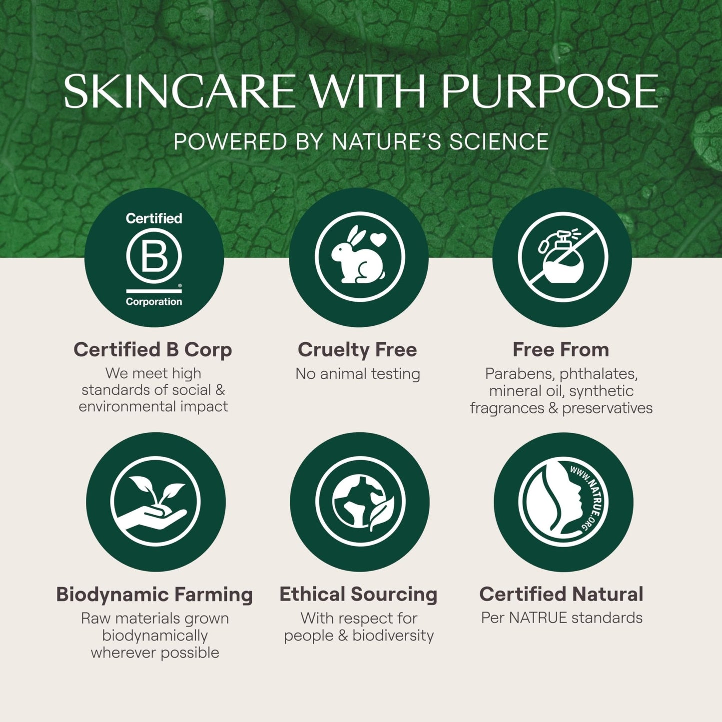 Weleda Skin Food Original Ultra-Rich Body Cream 2.5 Fluid Ounce, Plant Rich Hydrating Moisturizer with Pansy - Maple Wellness Supplements