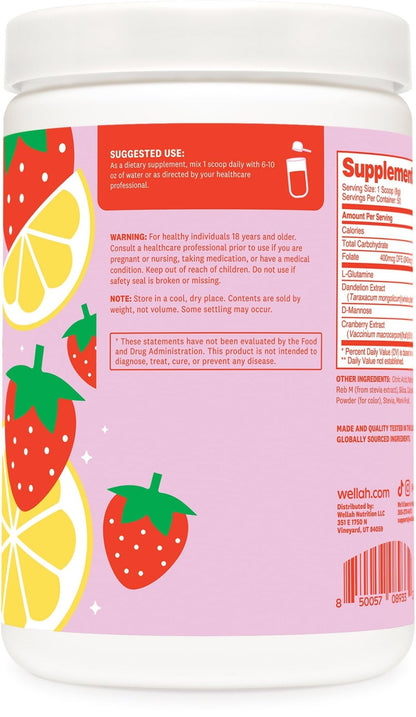 Wellah L-Glutamine Strawberry Lemonade Flavored (50 Servings) - 5g L-Glutamine Per Serving, Sweetened with Stevia - Maple Wellness Supplements
