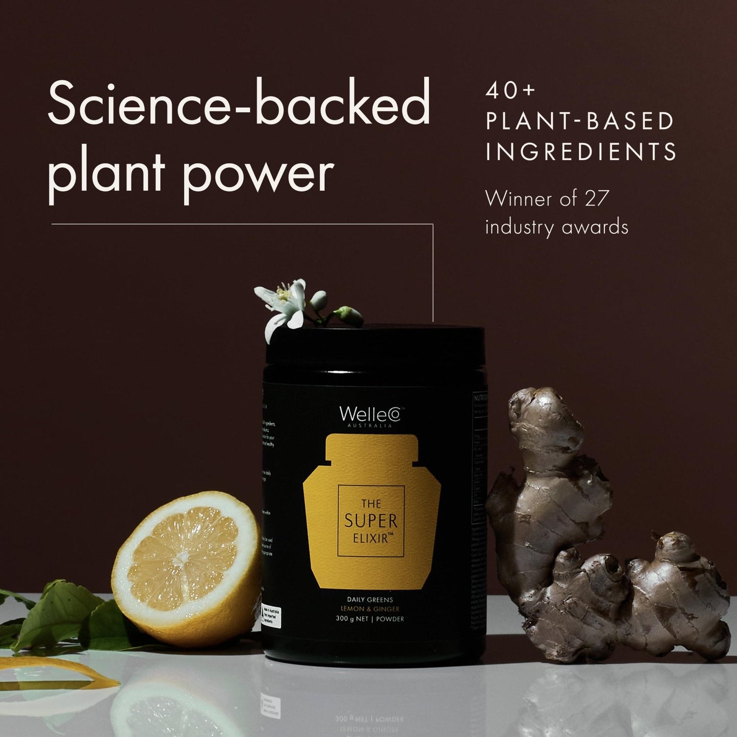 WelleCo The Super Elixir Daily Greens Powder, Probiotic Drink Mix with Whole Foods, Gluten Free, Vegan Gut Health Powder, Energy, Immunity, Healthy Skin, Hair & Nails (300g, Lemon Ginger) - Maple Wellness Supplements
