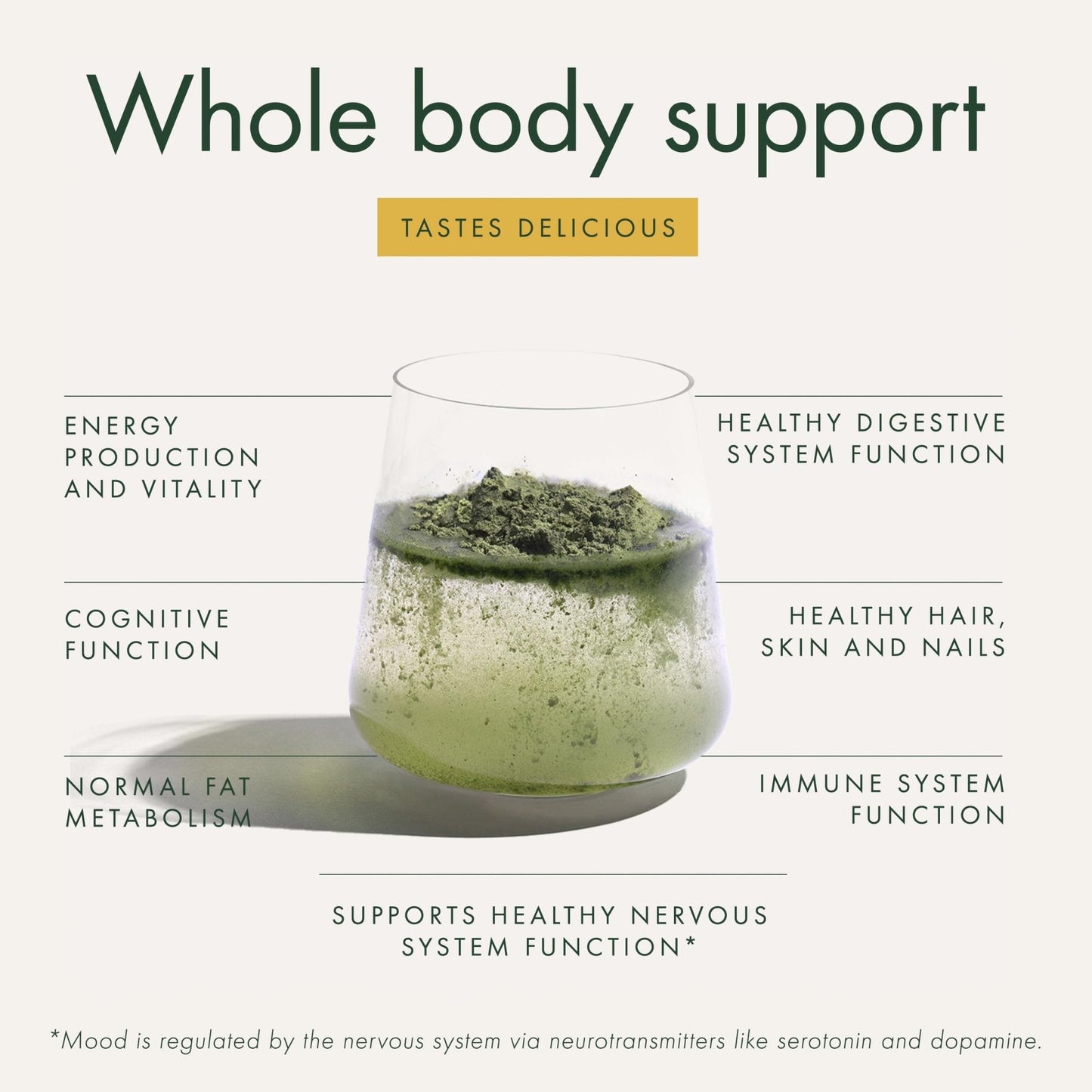 WelleCo The Super Elixir Daily Greens Powder, Probiotic Drink Mix with Whole Foods, Gluten Free, Vegan Gut Health Powder, Energy, Immunity, Healthy Skin, Hair & Nails (300g, Lemon Ginger) - Maple Wellness Supplements