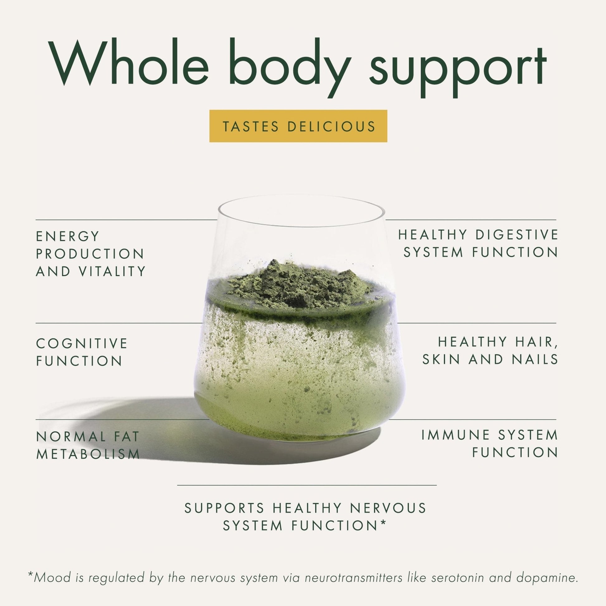 WelleCo The Super Elixir Daily Greens Powder, Probiotic Drink Mix with Whole Foods, Gluten Free, Vegan Gut Health Powder, Energy, Immunity, Healthy Skin, Hair & Nails (300g, Lemon Ginger) - Maple Wellness Supplements