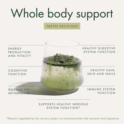 WelleCo The Super Elixir, Daily Greens Powder with Probiotics, Superfoods & Whole Foods, Unflavored Drink Mix for Gut Health, Immunity, Energy, Skin & Hair, 10.5oz Jar - Maple Wellness Supplements