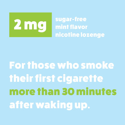 Wellness Basics Mini Nicotine Lozenge 2mg | Stop Smoking Aid | Mint Flavor | 135 Count | Pack of 5 Vials | Reduces Cravings & Withdrawal Symptoms - Maple Wellness Supplements
