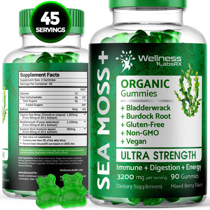 WELLNESS LABSRX Sea Moss Gummies, 3200mg Organic Seamoss, Irish Sea Moss - Maple Wellness Supplements