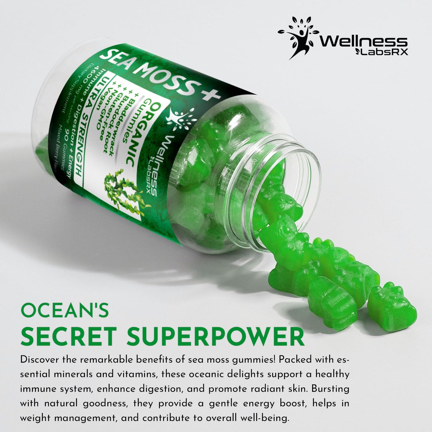 WELLNESS LABSRX Sea Moss Gummies, 3200mg Organic Seamoss, Irish Sea Moss - Maple Wellness Supplements