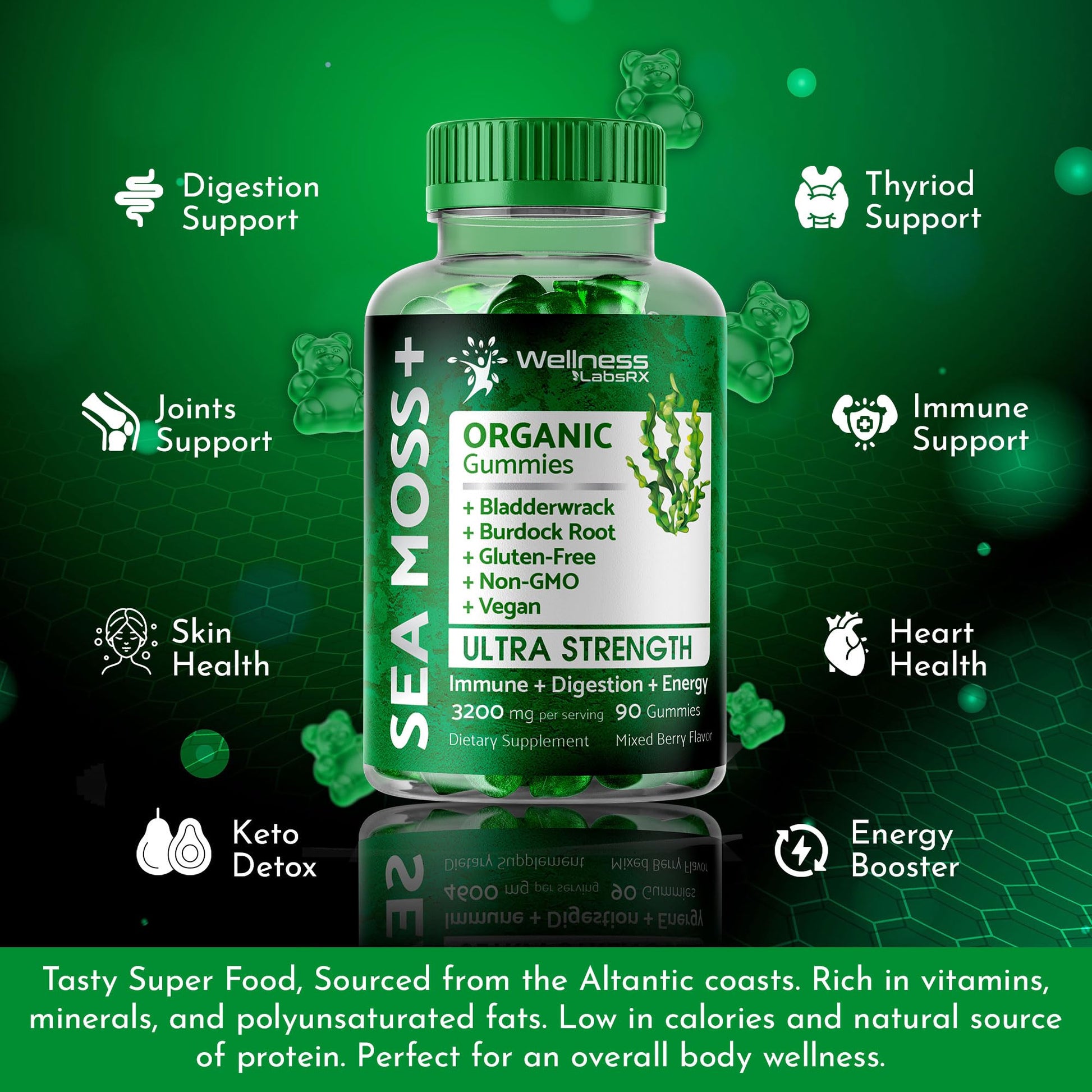 WELLNESS LABSRX Sea Moss Gummies, 3200mg Organic Seamoss, Irish Sea Moss - Maple Wellness Supplements