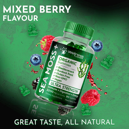 WELLNESS LABSRX Sea Moss Gummies, 3200mg Organic Seamoss, Irish Sea Moss - Maple Wellness Supplements